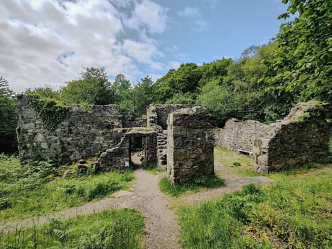 Ruins of an old stone structure surrounded by overgrown vegetation and green grass under a partly cloudy sky