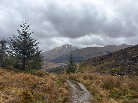 Mountain landscape with a winding dirt path through grassland, evergreen trees, and distant peaks under cloudy sky