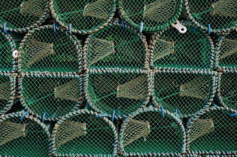 Stacked green and white lobster traps with rope bindings viewed from above